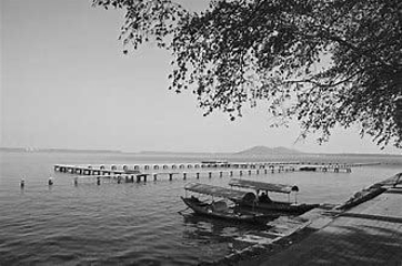 东湖游船第 58 张图片