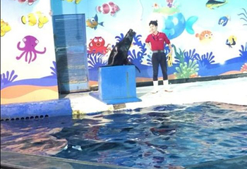 太平洋海底世界第 52 张图片