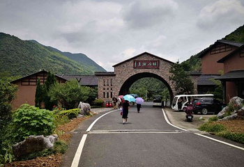 千岛湖石林景区第 81 张图片