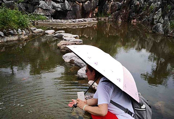 千岛湖石林景区第 80 张图片