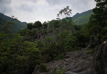 千岛湖石林景区第 79 张图片