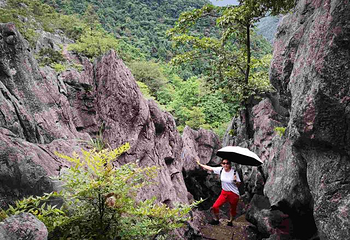 千岛湖石林景区第 76 张图片