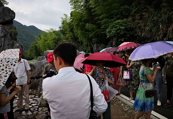 千岛湖石林景区第 75 张图片