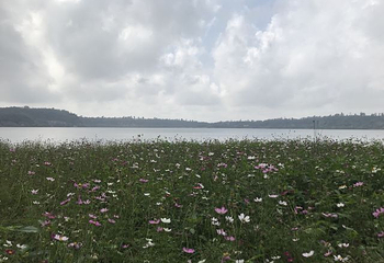湖光岩风景区第 71 张图片