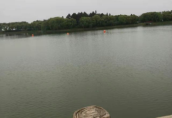 大纵湖第 44 张图片