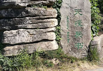 王莽岭风景区第 88 张图片
