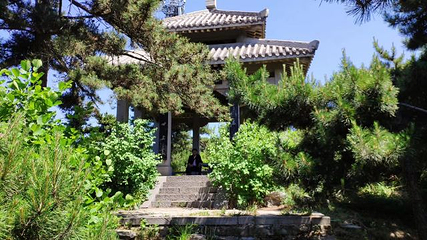 王莽岭风景区第 86 张图片