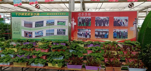 中山公园第 16 张图片