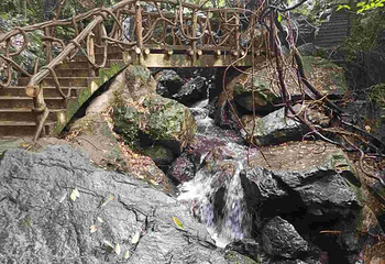 九龙湖旅游区第 34 张图片