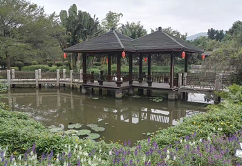 漳州东南花都第 31 张图片