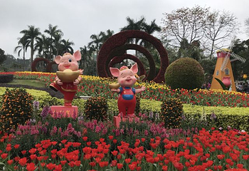 云台花园第 51 张图片