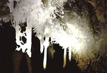 巴马水晶宫第 44 张图片