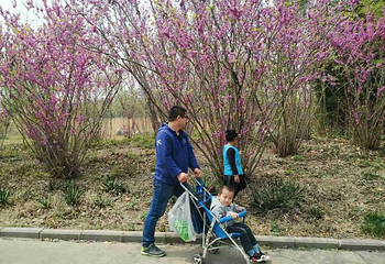 罗庄盛能游乐园第 34 张图片