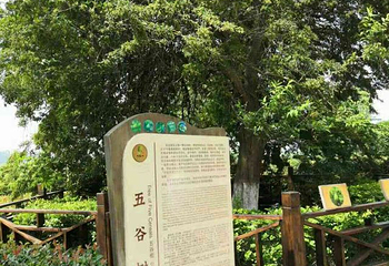 九龙口风景区第 41 张图片