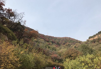 北京西山国家森林公园第 55 张图片