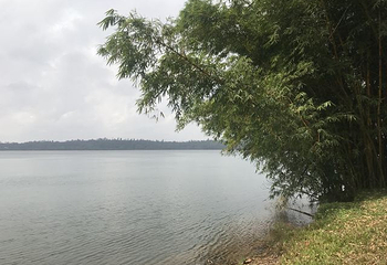 湖光岩风景区第 70 张图片