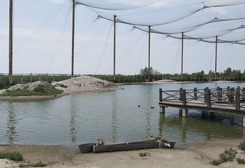 向海国家级自然保护区第 10 张图片