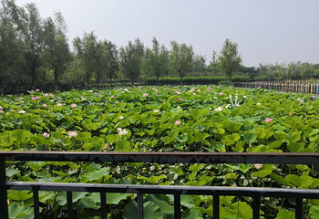 临沂动植物园第 32 张图片