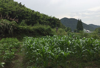达蓬山旅游度假区第 45 张图片