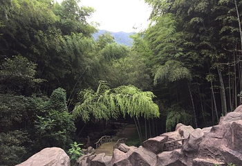 达蓬山旅游度假区第 42 张图片
