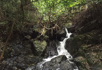 达蓬山旅游度假区第 41 张图片