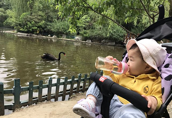 茱萸湾风景区第 33 张图片