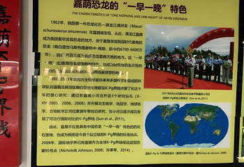 嘉荫恐龙国家地质公园第 28 张图片