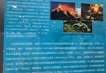 嘉荫恐龙国家地质公园第 27 张图片
