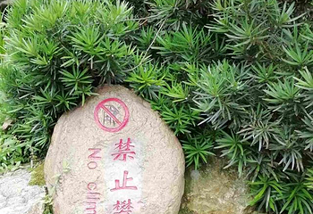 滴水洞第 37 张图片