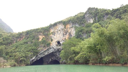 巴马百鸟岩第 52 张图片