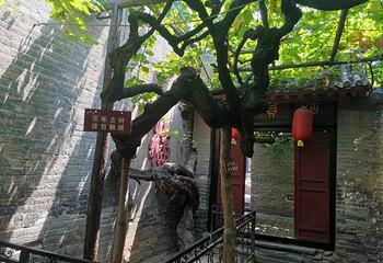 康百万庄园第 52 张图片