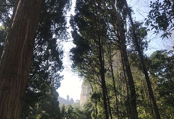 灵岩景区第 16 张图片