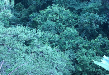 青山沟国家重点风景名胜区第 27 张图片