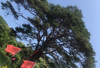 青山沟国家重点风景名胜区第 22 张图片