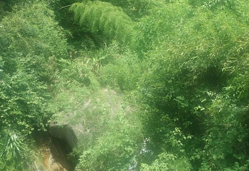 龙穿峡景区第 48 张图片