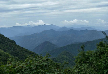 南宫山国家森林公园第 41 张图片