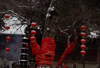 灵岩寺第 24 张图片