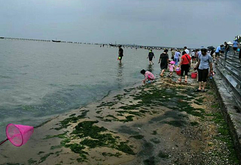 刘家湾赶海园第 61 张图片