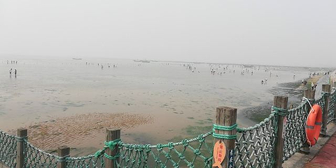 刘家湾赶海园第 58 张图片