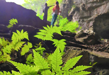 荔波茂兰自然保护区第 46 张图片