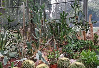 武汉植物园第 50 张图片