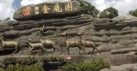 金鹿园第 20 张图片