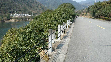 九龙湖旅游区第 24 张图片