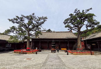 广胜寺第 165 张图片