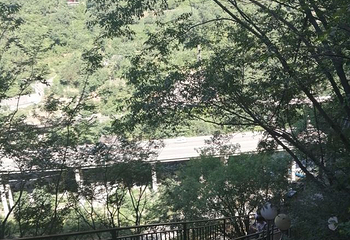柞水溶洞第 46 张图片