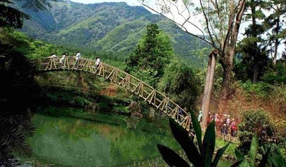 阿里山国家风景区第 80 张图片