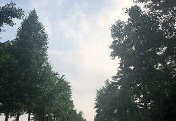 世纪公园第 126 张图片