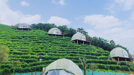 长沙黑麋峰国家森林公园第 36 张图片