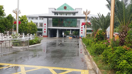 打洛镇第 13 张图片