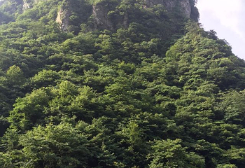 黄浦江源第一漂第 43 张图片